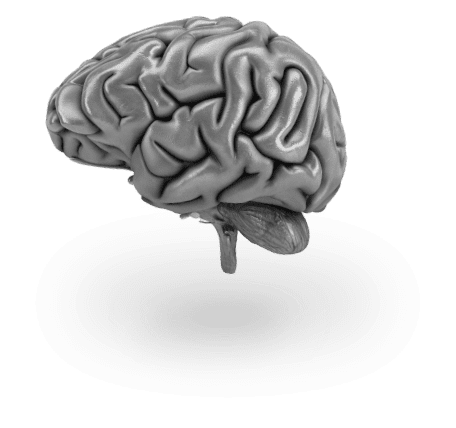 brain vector