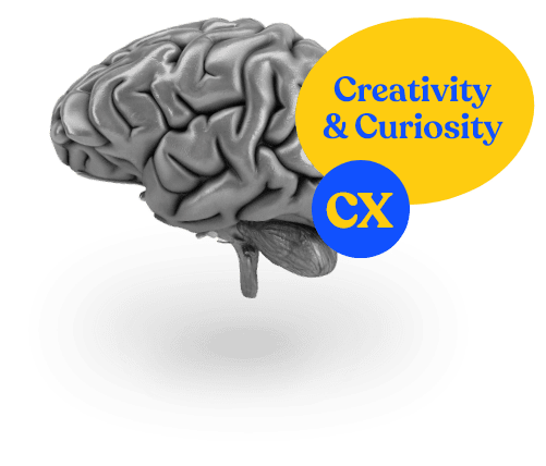 brain vector